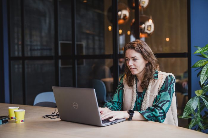 Interim en detachering Steiger B